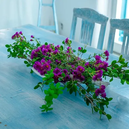 فيلة Casa De Blue